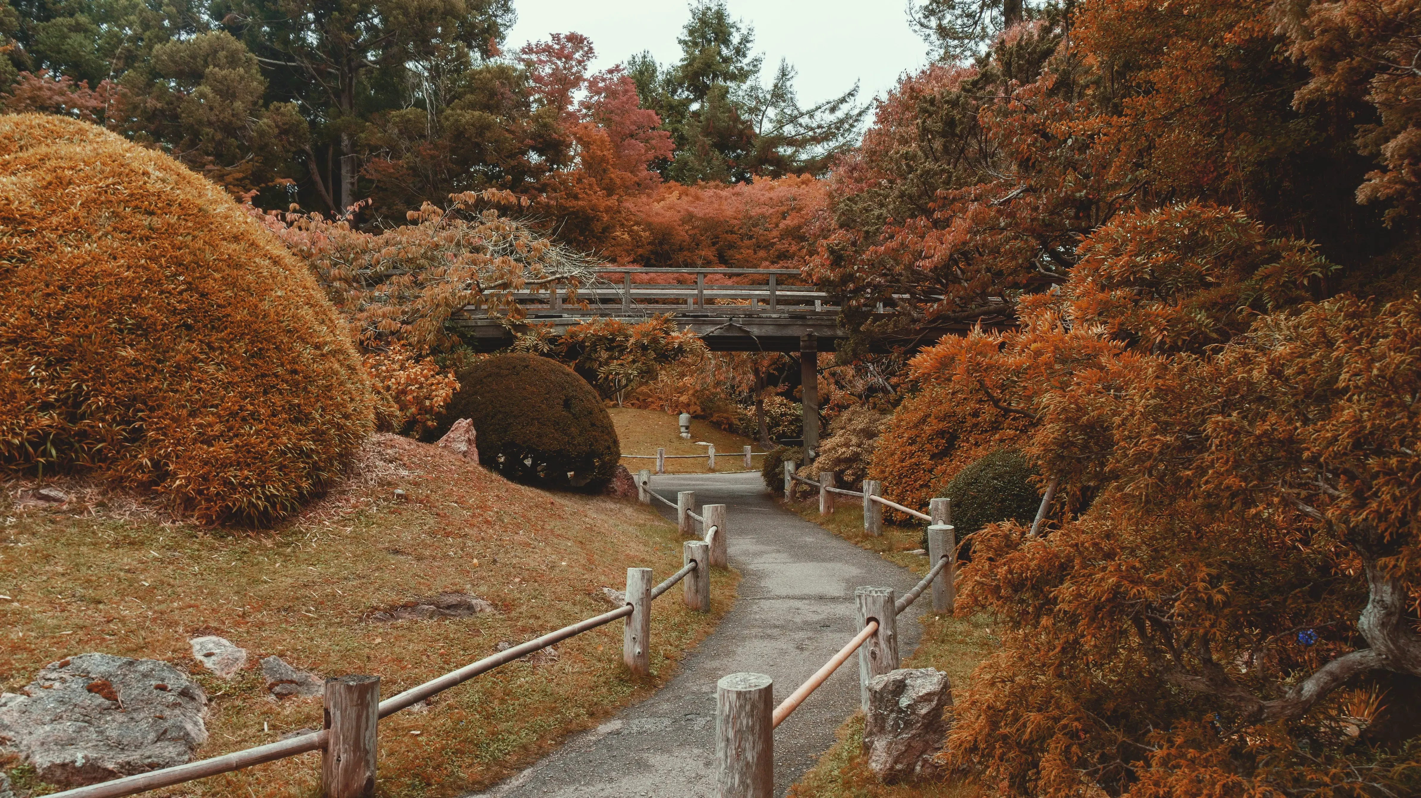 Japanese Tea Garden in San Francisco, California